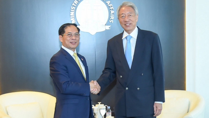 Bộ trưởng Ngoại giao Bùi Thanh Sơn hội kiến với Bộ trưởng Cao cấp Singapore